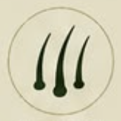 Dry and itchy scalp