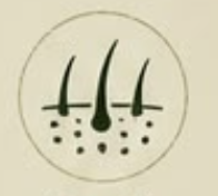 Hair fall concerns